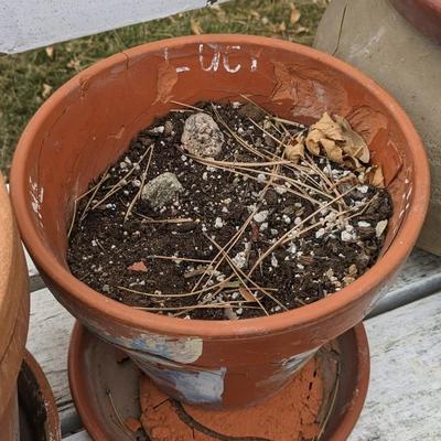 Planting Party