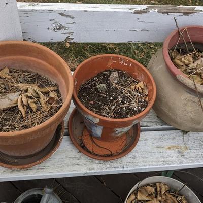 Planting Party