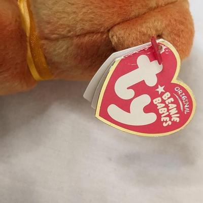 TY and Beanie Bear Collection