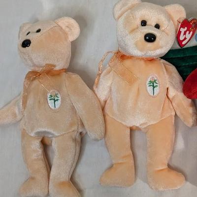 TY and Beanie Bear Collection