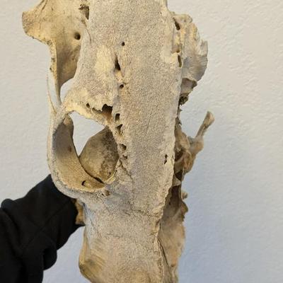 Bone Brigade