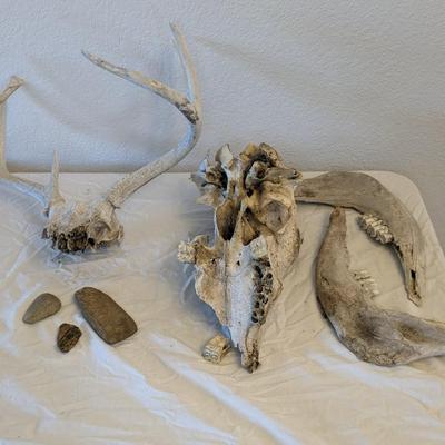 Bone Brigade