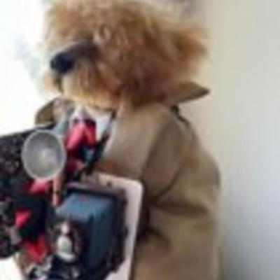 Late Night Paws - Dan Bearther Press Bear
