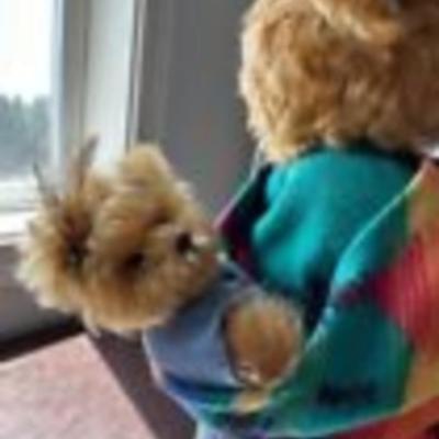 The Bears of Corbett Hollow - Pawpoose