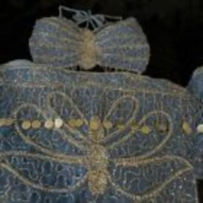 2 piece set Belly dance Costume