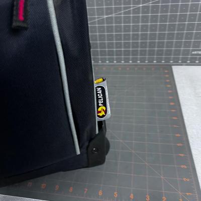 PELICAN Camera or Electronics Caser