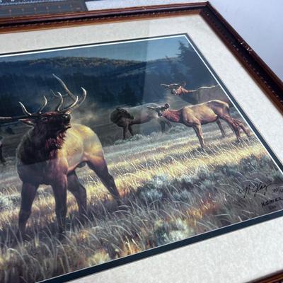 Rocky Mountain Meadow By Nancy Glazier Print 393/600 