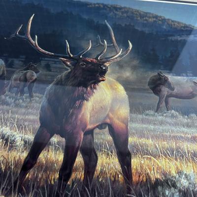 Rocky Mountain Meadow By Nancy Glazier Print 393/600 