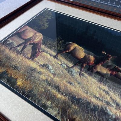 Rocky Mountain Meadow By Nancy Glazier Print 393/600 