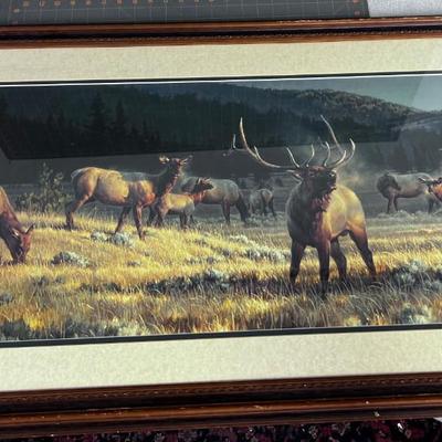 Rocky Mountain Meadow By Nancy Glazier Print 393/600 