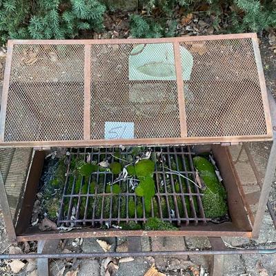 Older Fire Pit