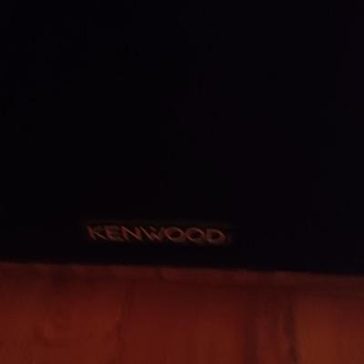 2 kenwood speakers