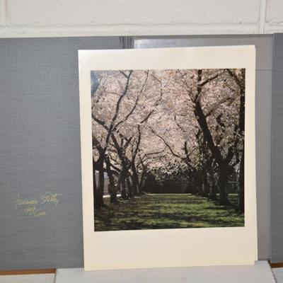 The Washington Collection Set of 12 Lithograph Prints by Thomas Stiltz Portfolio One