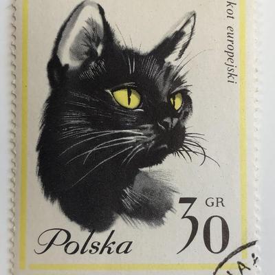 1964 Cat Stamp - Poland