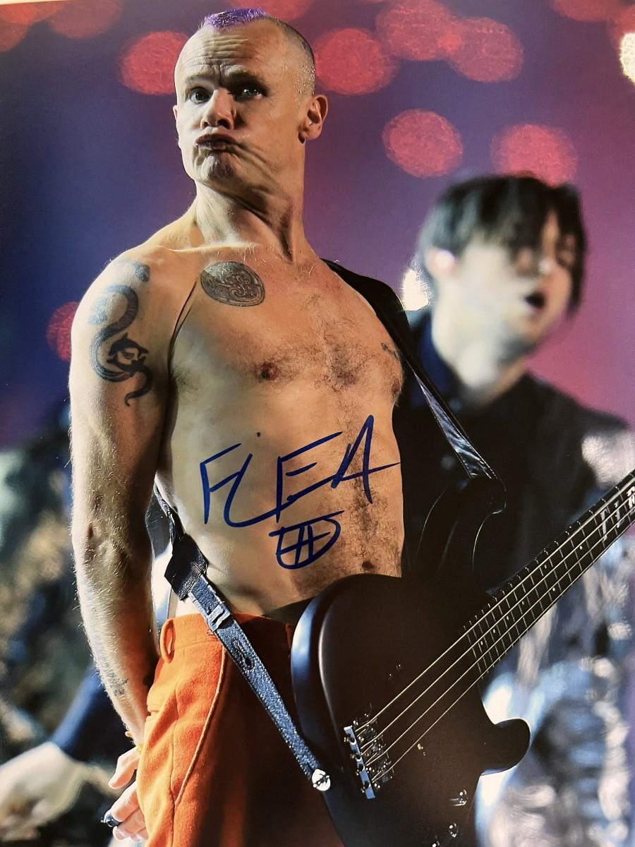 Red Hot Chili Peppers Flea signed photo | EstateSales.org