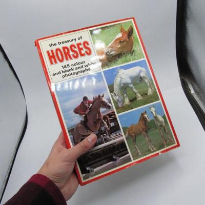 The Treasury of Horses Vintage Hardcover Full Color Back & White Book