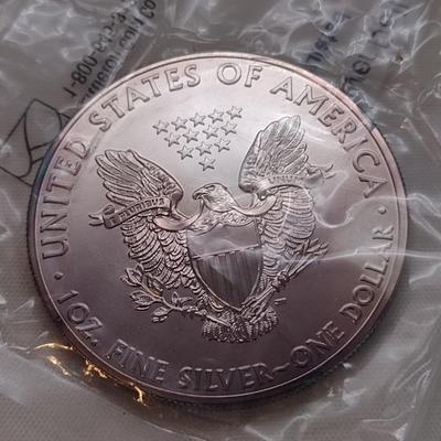 2011 American Eagle Silver Dollar Uncirculated in Littleton Co. Cellophane Packet (#69)