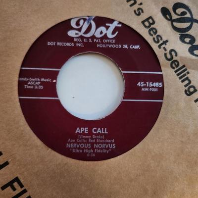 Nervous Norvus Record Plus One