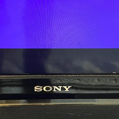 Sony Bravia LCD 46â€ TV (UD-RG)