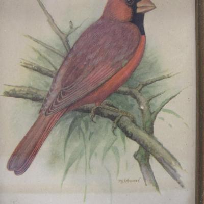 Pair of Vintage Framed Donald Art Co Ph. Gonner Litho in USA Bird Art Prints