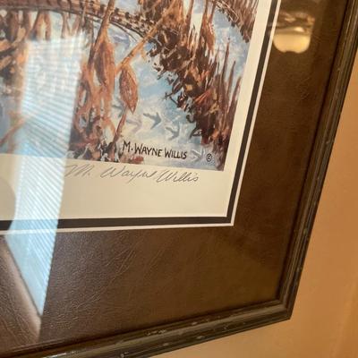 5 framed wildlife prints