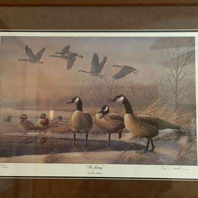 5 framed wildlife prints