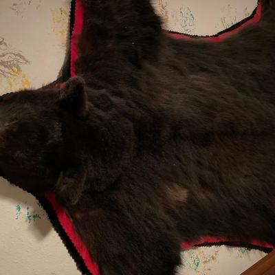 Black Bear skin rug