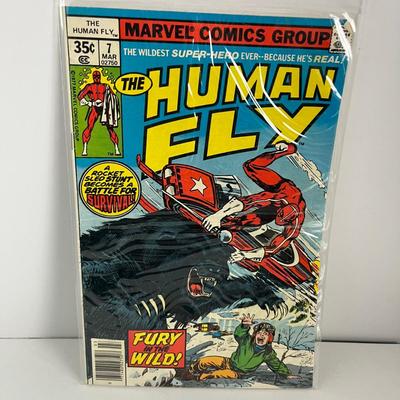 Vintage 1977 Marvel Comics: Human Fly