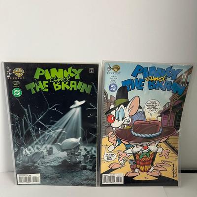 Warner Brother: Pinky and the Brain