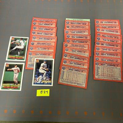 Baseball Card Bundle (B24)