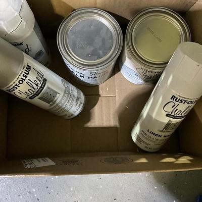 Sample paints and calk paint
