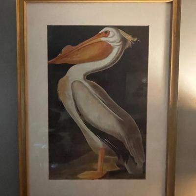 Pelican Print