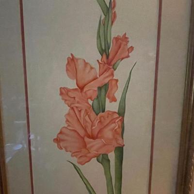Gladiolus Original