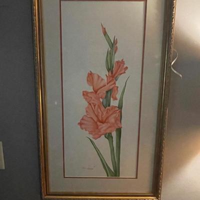 Gladiolus Original