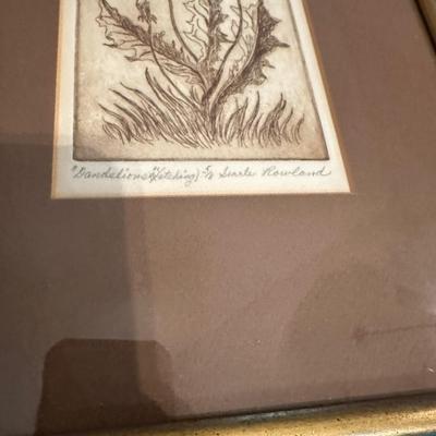 Framed Dandelions Etching Searle Rowland