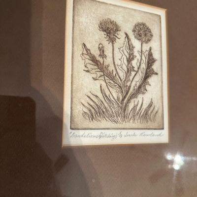 Framed Dandelions Etching Searle Rowland