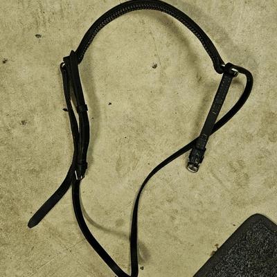Blue Ribbon Saddle and Horse Tack