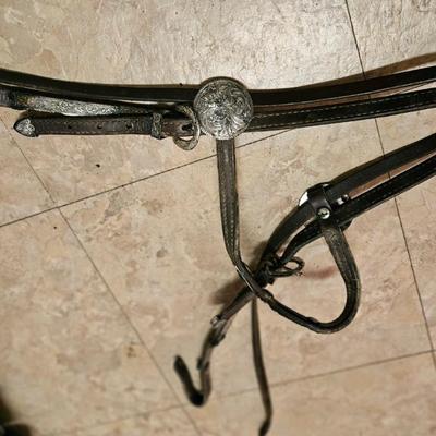 Blue Ribbon Saddle and Horse Tack