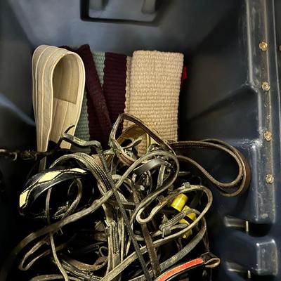 Blue Ribbon Saddle and Horse Tack