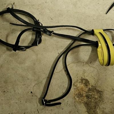 Blue Ribbon Saddle and Horse Tack