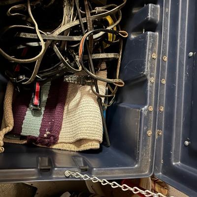 Blue Ribbon Saddle and Horse Tack