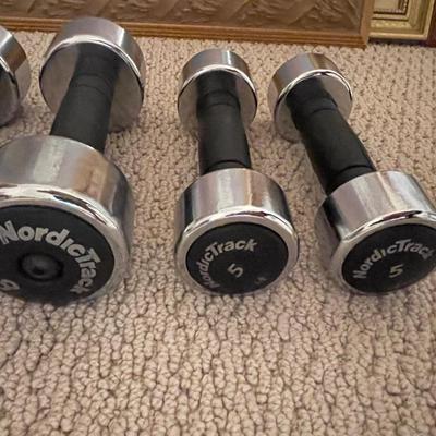 Set of Seven Nordic Track Hand Weights
