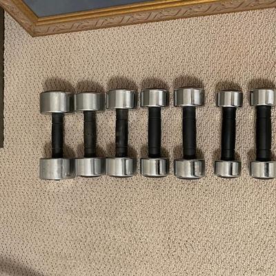 Set of Seven Nordic Track Hand Weights