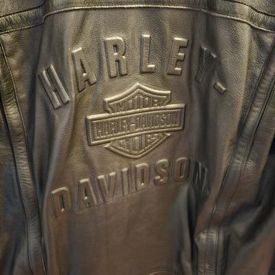 Embossed Leather Harley Davidson Jacket Sz S (FC-DW)