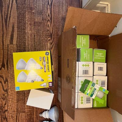 Power Strips. Cords & Light Bulbs (C-RG)