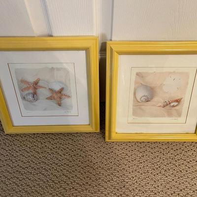 Two Vibrant Sea Life Pictures