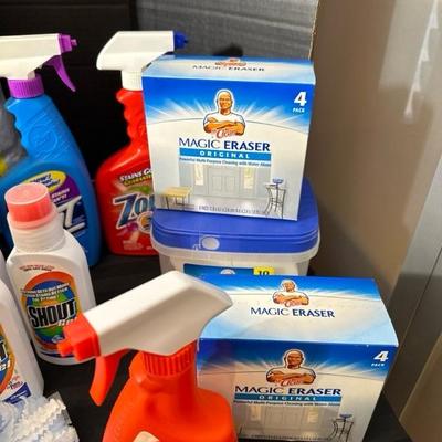 Lot 736 cleaning supplies