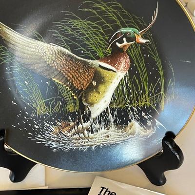 The Bradford Exchange "Winged Splendor" Collectible Plate