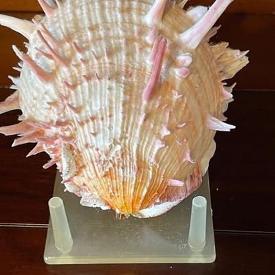 Seashell and Flower Figurine Lot