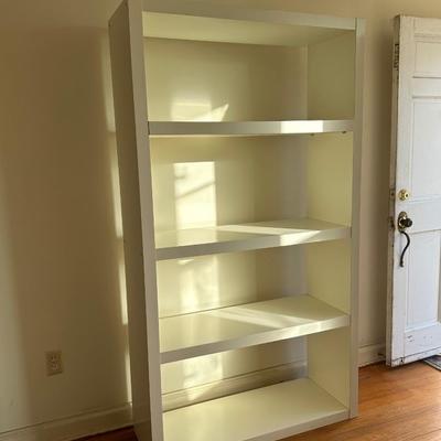 Two (2) Open Back Shelves